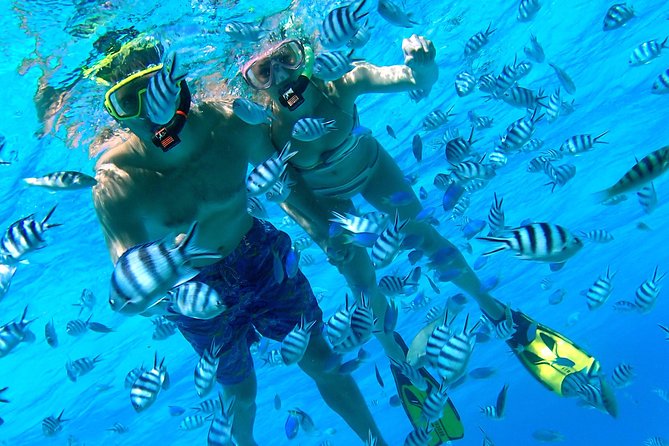 Reef Discovery Private Half Day Lagoon Tour - Four stops across Bora Bora Lagoon