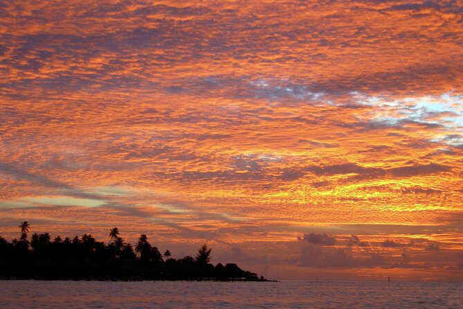 Reef Discovery Private Sunset Cruise in Bora-Bora - How the price compares with the experience