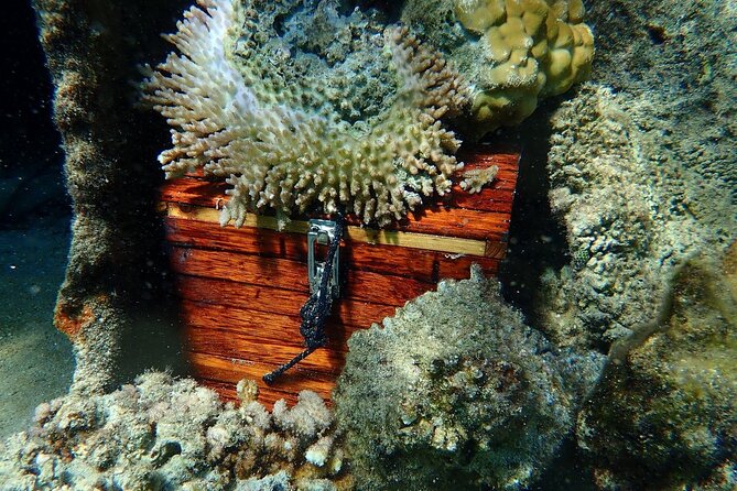 Reef Discovery Private Treasure Hunt - The shipwreck is the payoff