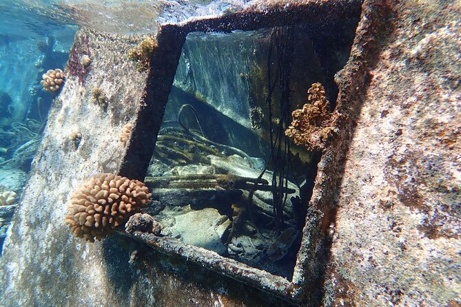 Reef Discovery Private Treasure Hunt - How the private format changes the experience