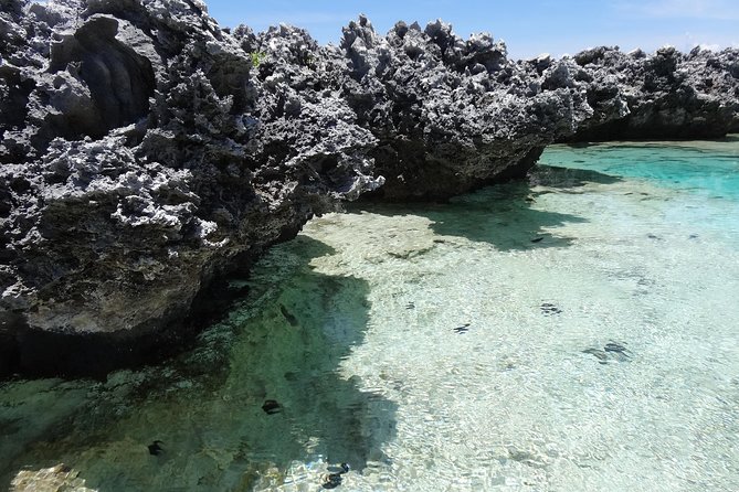 REEF ISLAND | private island | pink sand | natural swimming pools - Tiputa Pass, dolphins, and the aquarium