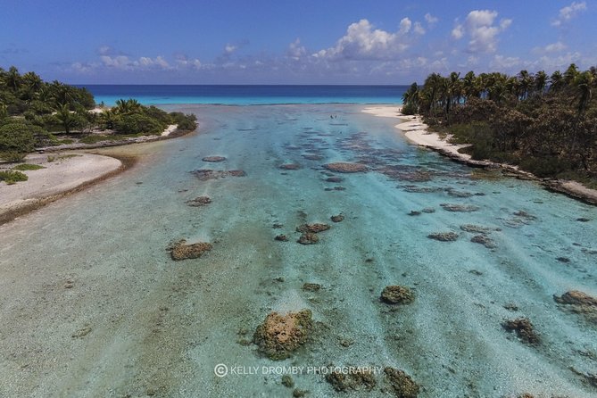 REEF ISLAND | private island | pink sand | natural swimming pools - Who should book this reef island outing?