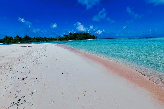 REEF ISLAND | private island | pink sand | natural swimming pools - Snorkeling among coral gardens