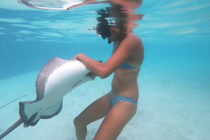 Respectful whale excursion to Tahiti in 4h30 - A 30-minute lagoon stop with fish and fruit