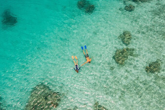 Ride & Slide by South Sea Cats - Half Day Snorkelling Trip - The slide is fun, but not the whole point