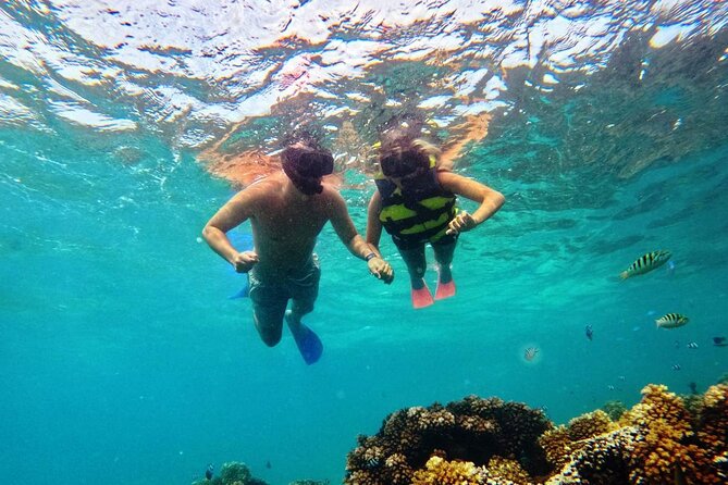Ride & Slide by South Sea Cats - Half Day Snorkelling Trip - Is $108 good value?