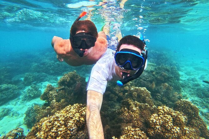 Ride & Slide by South Sea Cats - Half Day Snorkelling Trip - What to bring and how to plan the afternoon