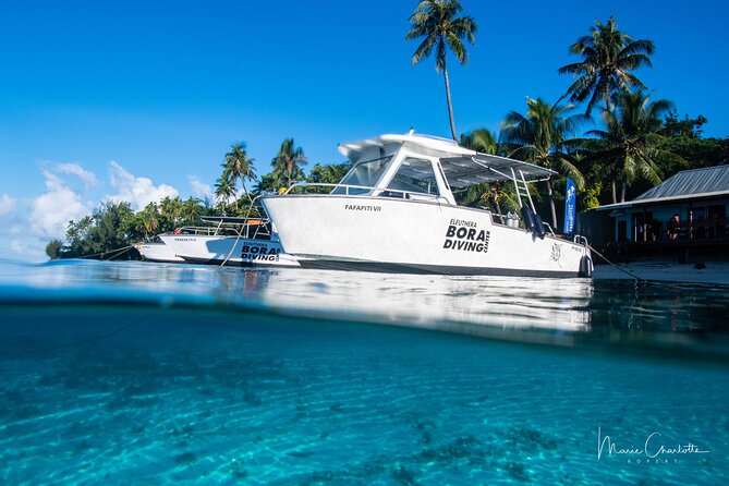 Romantic Dive for beginners in Bora Bora (2 people) with Video - Your video and black pearl keepsake