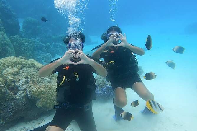 Romantic Dive for beginners in Bora Bora (2 people) with Video - What happens at Eleuthera Bora Diving Center