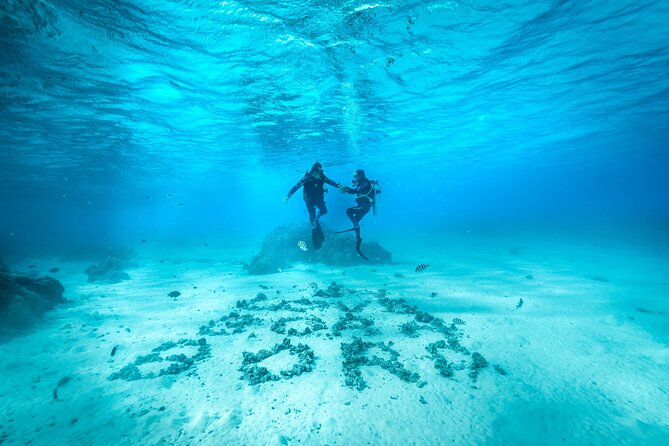 Romantic dive in the lagoon of Bora Bora. Private instructor on a shared boat - Why This Bora Bora Lagoon Outing Feels Different