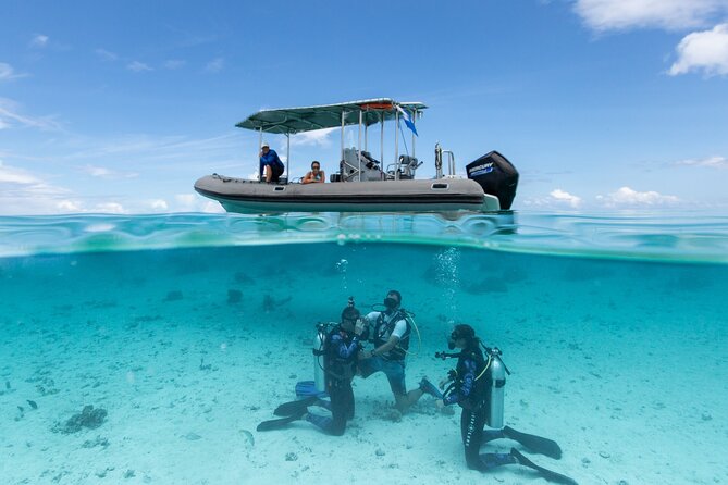 Romantic dive in the lagoon of Bora Bora. Private instructor on a shared boat - Riding Out on a Shared Boat