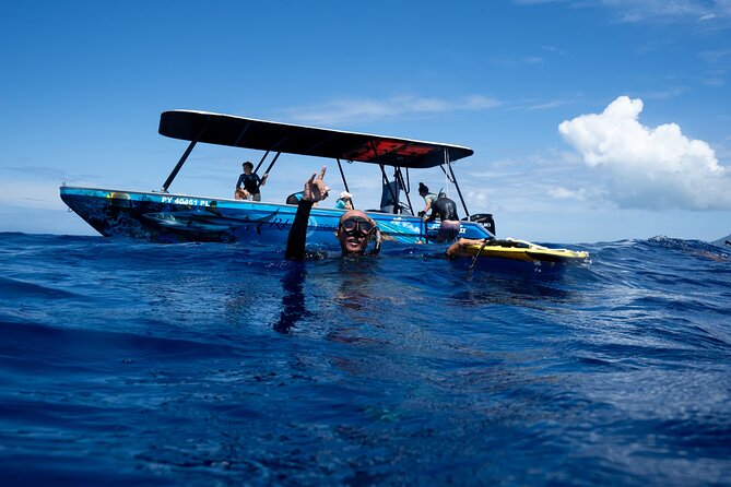 Sacred Experience Swimming with a Whale in Moorea - A four-hour search for humpback whales