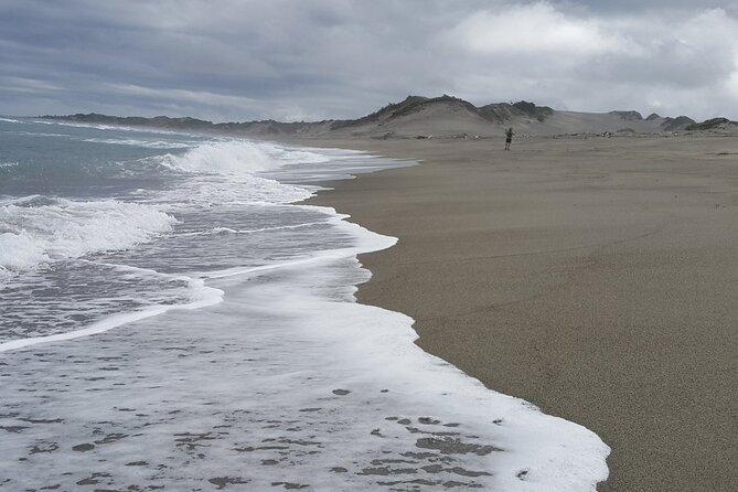 Sand Dunes National Heritage Park& Natadola Beach Half Day Tour - Leaving Nadi around 8:30 in the morning