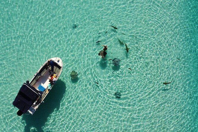 Sea Scooter Jet snorkeling "Moorea Reef Adventure" - Who should book this reef adventure?