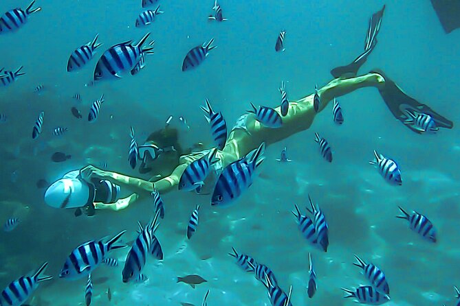 Sea Scooter Snorkel Tour - Lagoon Discovery : Wrecks, Coral Gardens and Tropical Fishies - Why the Aquarium Lagoon Makes This Tour Special