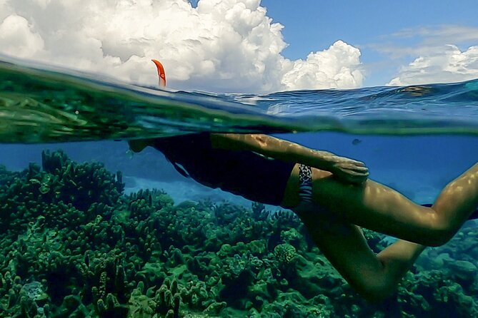 Sea Scooter Snorkel Tour - Lagoon Discovery : Wrecks, Coral Gardens and Tropical Fishies - Who Will Enjoy This Lagoon Adventure Most
