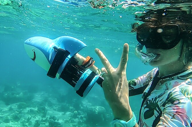Sea Scooter Snorkel Tour - Lagoon Discovery : Wrecks, Coral Gardens and Tropical Fishies - Practical Details Before You Reserve