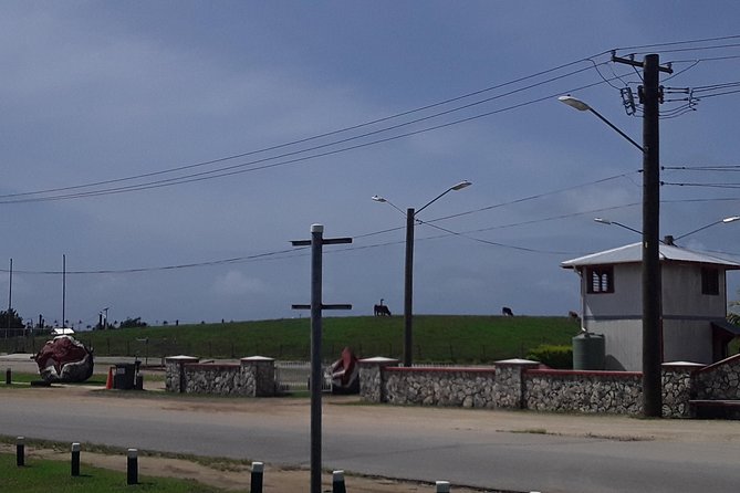 See Hear and Experience Full Island tour - A full circuit of Tongatapu, not just a city tour