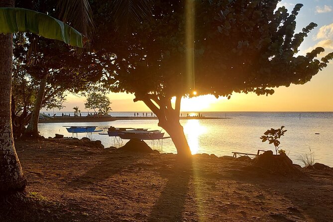 Shared 4.5h Circle Island Tour of Tahiti Nui by Lydia - Vaipahi Water Gardens and Sacred Tradition