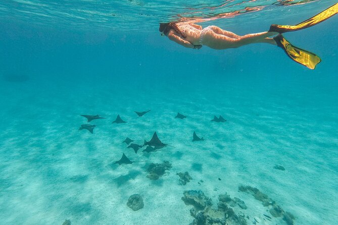 SHARED FULL DAY CULTURAL & LAGOON TOUR - Bora Bora Cultural Lagoon Tour - A full day on Bora Bora’s lagoon