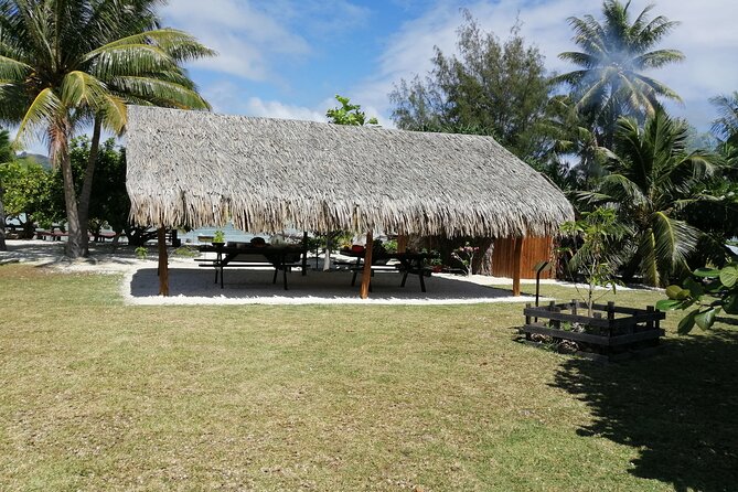 SHARED FULL DAY CULTURAL & LAGOON TOUR - Bora Bora Cultural Lagoon Tour - A local meal between the water stops