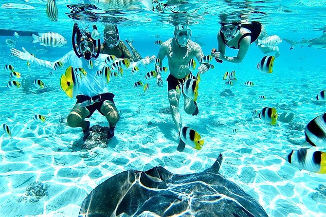 SHARED HALF DAY LAGOON TOUR - Bora Bora Cultural Lagoon Tour - Key points to know before you book