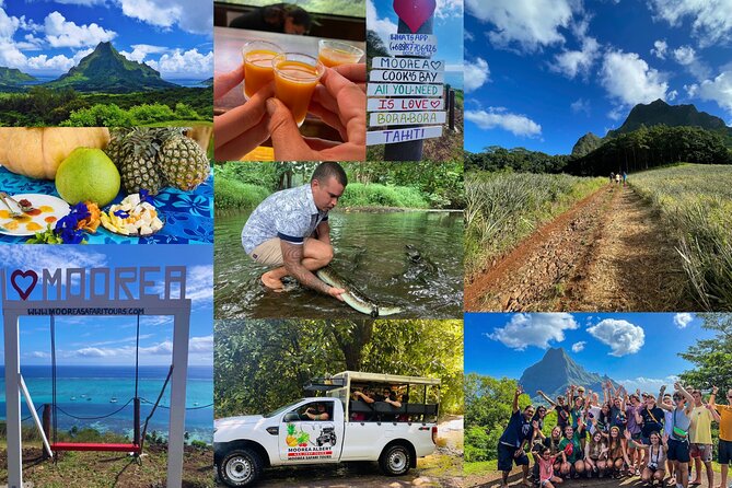 Shared Transfer: Hotel or Cruise Port to Tahiti Airport - Reliability, with a few warnings