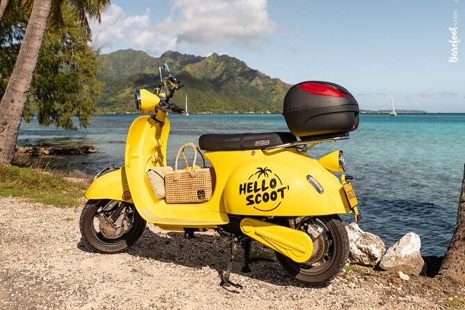 Shared Transfer : Moorea Airport (or) Pier to Hotel - What the drive feels like