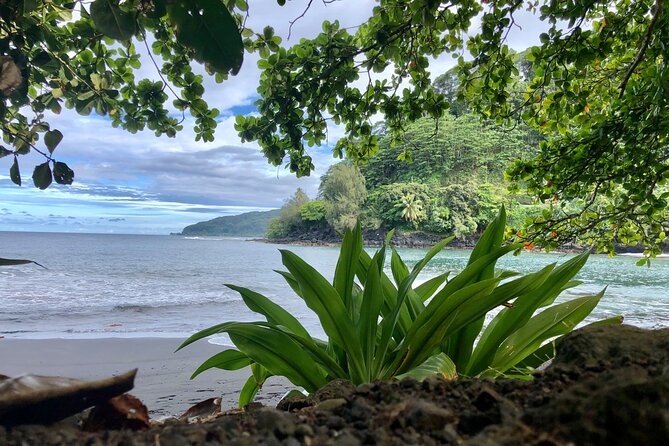Shared Transfer: Tahiti Airport to Hotel or Cruise Port - Should you book it?