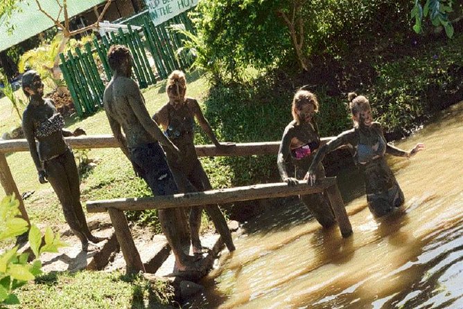 Shore Excursion-Nadi Mudpools,Sleeping Giants Gardens,Markets, Temple & Shopping - Getting muddy at Sabeto Hot Springs