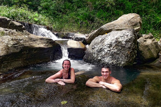 Small Group Hiking Adventure - Hidden Peaks - Plants, traditional medicine, and the living forest