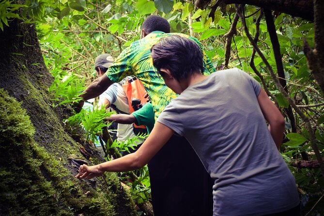Small Group Hiking Adventure - Hidden Peaks - What the private format adds
