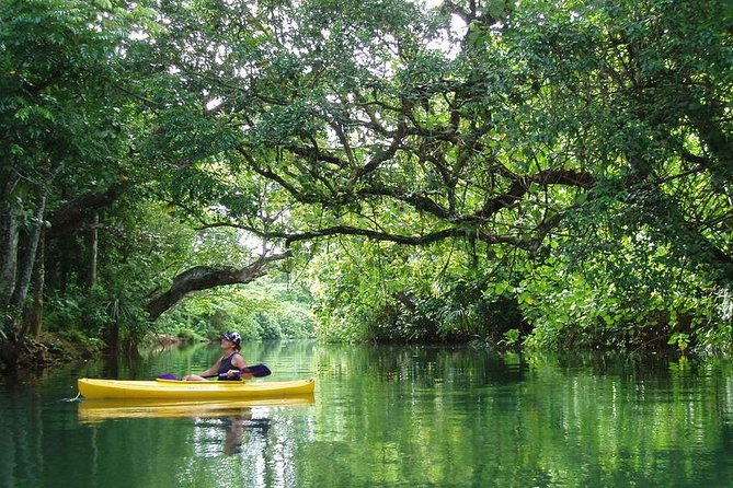 Small Group River Kayaking Tour from Port Vila - Key points to know before you book