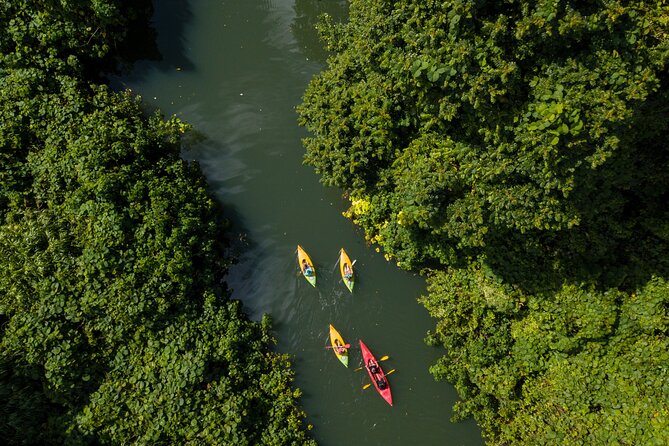 Small Group River Kayaking Tour from Port Vila - Leaving Port Vila for the Rentapao River