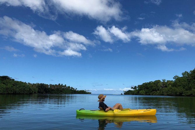 Small Group River Kayaking Tour from Port Vila - The freshwater swim and Tarzan rope swing