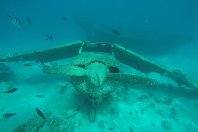 Small group snorkeling (5 people max): wrecks & tropical fishes at 1:00pm - What the $99.67 price includes