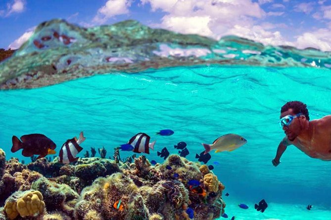 Small group snorkeling (5 people max): wrecks & tropical fishes at 10:30am - Captain Benoit’s role makes the difference