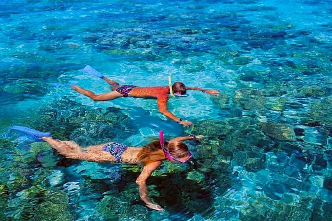 Small group snorkeling (5 people max): wrecks & tropical fishes at 10:30am - Is $99.67 a fair price?