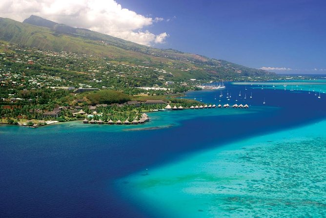 Small group snorkeling (5 people max): wrecks & tropical fishes at 3:30pm - Who will get the most from this trip