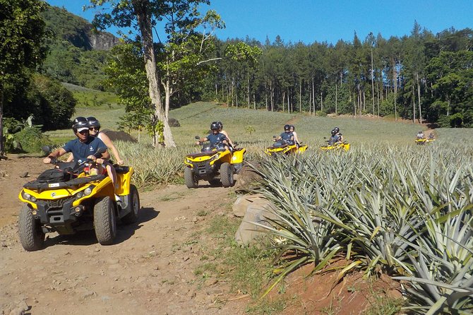 Small Quad Tour 2h30 Quad excursion in Moorea (single or two-seater) - Riding into Moorea’s Opunohu Valley