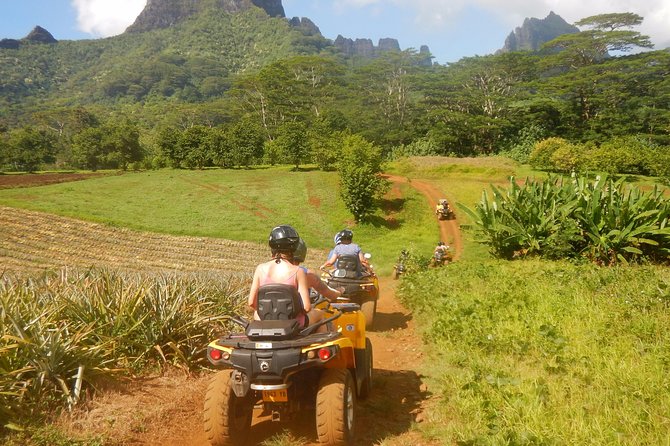 Small Quad Tour 2h30 Quad excursion in Moorea (single or two-seater) - The guides make a real difference