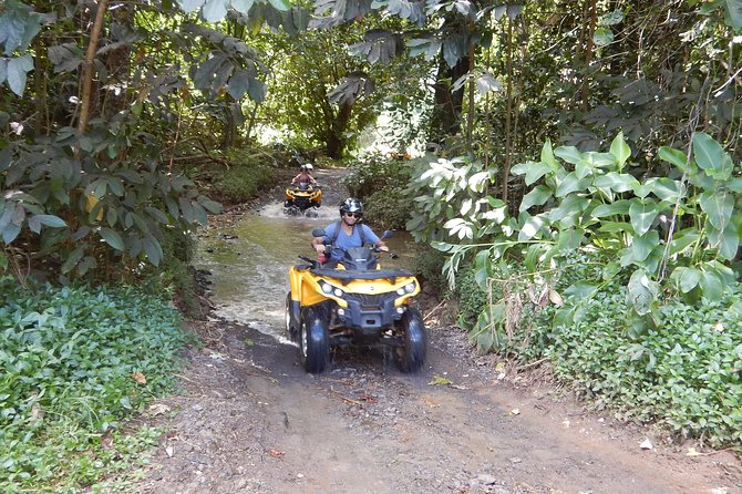Small Quad Tour 2h30 Quad excursion in Moorea (single or two-seater) - What the $114.18 price gets you