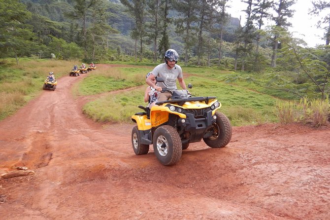 Small Quad Tour 2h30 Quad excursion in Moorea (single or two-seater) - Belvedere Lookout and the two bays below