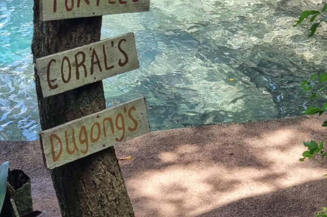 Snorkeling at Top Rock with Yumi Tours - What happens at Top Rock