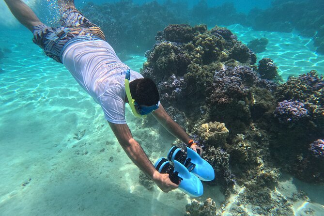 Snorkeling EN Underwater Scooter in Tahiti - Key points to know before you book