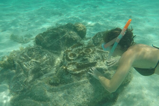 Snorkeling excursion and encounter with marine fauna in Moorea - Snorkeling stop one: coral, fish, and a calmer start
