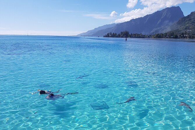 Snorkeling excursion, discovery of the lagoon, small group. - Why six people makes such a difference
