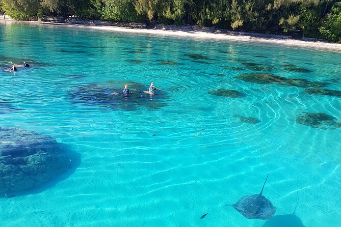 Snorkeling excursion, discovery of the lagoon, small group. - Price, value, and what you bring