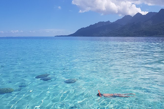 Snorkeling excursion, discovery of the lagoon, small group. - Who will enjoy this tour most