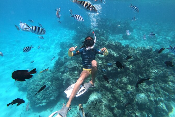 Snorkeling immersion in the wonders of Tahiti - Is $60.73 a good price?